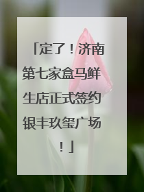 定了！济南第七家盒马鲜生店正式签约银丰玖玺广场！