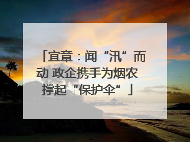 宜章：闻“汛”而动 政企携手为烟农撑起“保护伞”