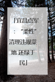 宜昌点军：“柔性”清理违规菜地 还绿于民