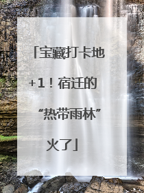 宝藏打卡地+1！宿迁的“热带雨林”火了