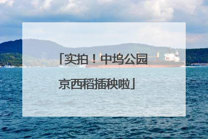 实拍！中坞公园京西稻插秧啦