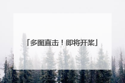 多图直击！即将开桨