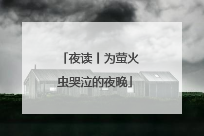 夜读丨为萤火虫哭泣的夜晚