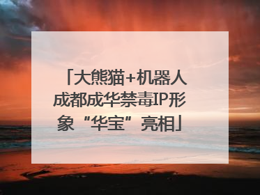 大熊猫+机器人 成都成华禁毒IP形象“华宝”亮相