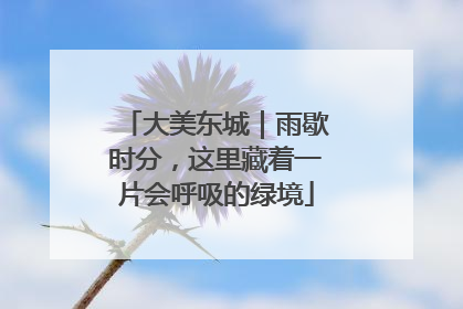 大美东城｜雨歇时分，这里藏着一片会呼吸的绿境