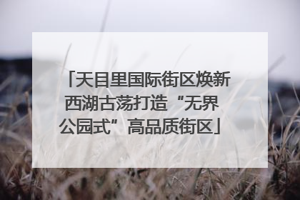 天目里国际街区焕新 西湖古荡打造“无界公园式”高品质街区