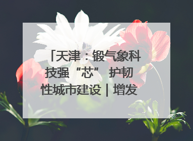 天津：锻气象科技强“芯” 护韧性城市建设｜增发国债气象项目落地见效系列报道