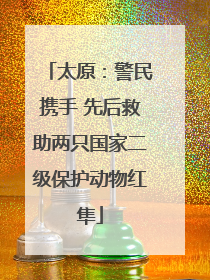 太原：警民携手 先后救助两只国家二级保护动物红隼