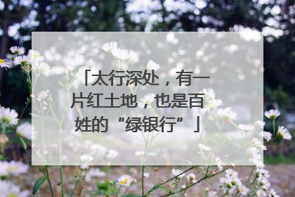 太行深处，有一片红土地，也是百姓的“绿银行”