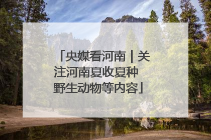 央媒看河南｜关注河南夏收夏种 野生动物等内容