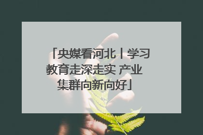 央媒看河北丨学习教育走深走实 产业集群向新向好