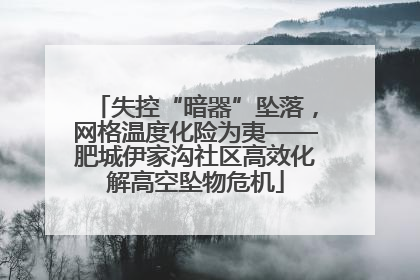 失控“暗器”坠落，网格温度化险为夷——肥城伊家沟社区高效化解高空坠物危机