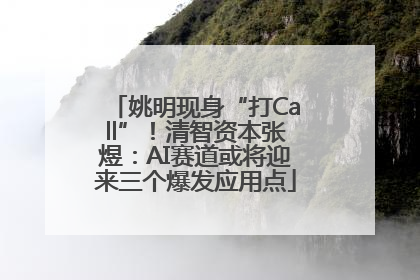 姚明现身“打Call”！清智资本张煜：AI赛道或将迎来三个爆发应用点