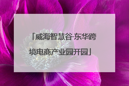 威海智慧谷·东华跨境电商产业园开园