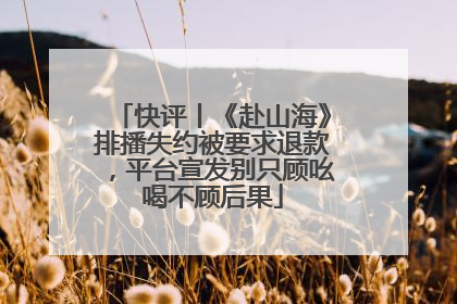 快评丨《赴山海》排播失约被要求退款，平台宣发别只顾吆喝不顾后果