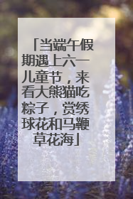 当端午假期遇上六一儿童节，来看大熊猫吃粽子，赏绣球花和马鞭草花海