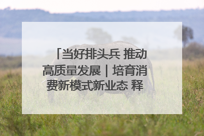 当好排头兵 推动高质量发展｜培育消费新模式新业态 释放经济增长新动能