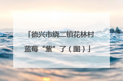 德兴市绕二镇花林村蓝莓“紫”了（图）