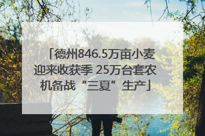 德州846.5万亩小麦迎来收获季 25万台套农机备战“三夏”生产