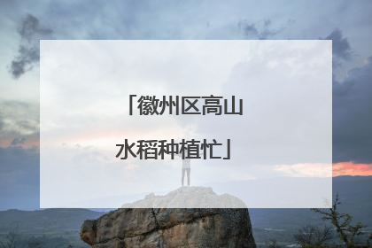 徽州区高山水稻种植忙