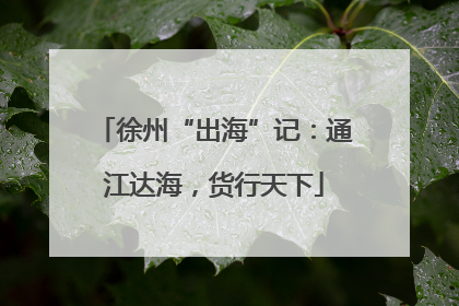 徐州“出海”记：通江达海，货行天下