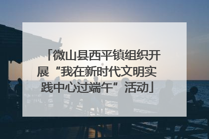 微山县西平镇组织开展“我在新时代文明实践中心过端午”活动