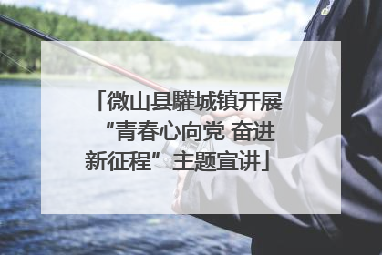 微山县驩城镇开展“青春心向党 奋进新征程”主题宣讲