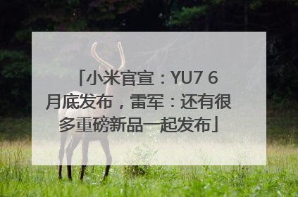小米官宣：YU7 6月底发布，雷军：还有很多重磅新品一起发布