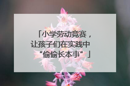 小学劳动竞赛，让孩子们在实践中“偷偷长本事”