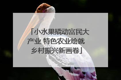 小水果撬动富民大产业 特色农业绘就乡村振兴新画卷