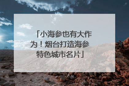 小海参也有大作为！烟台打造海参特色城市名片