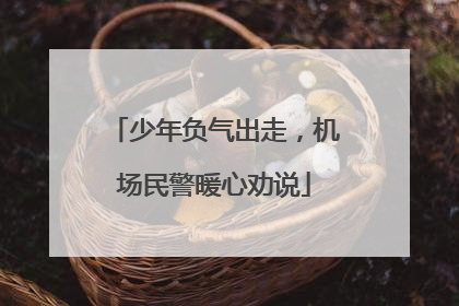 少年负气出走，机场民警暖心劝说