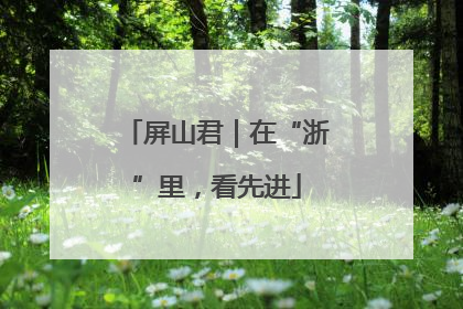 屏山君｜在“浙”里，看先进