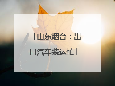 山东烟台：出口汽车装运忙