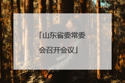 山东省委常委会召开会议