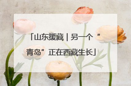 山东援藏｜另一个“青岛”正在西藏生长