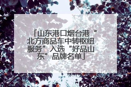 山东港口烟台港“北方商品车中转枢纽服务”入选“好品山东”品牌名单