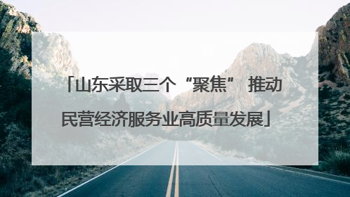 山东采取三个“聚焦” 推动民营经济服务业高质量发展