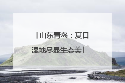 山东青岛：夏日湿地尽显生态美