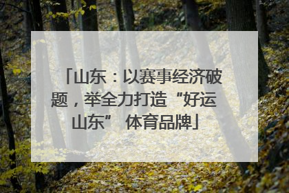 山东：以赛事经济破题，举全力打造“好运山东” 体育品牌