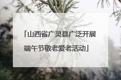 山西省广灵县广泛开展端午节敬老爱老活动