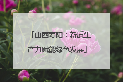 山西寿阳：新质生产力赋能绿色发展