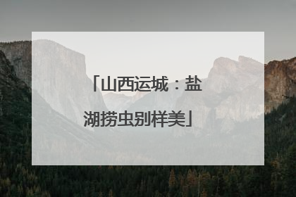 山西运城：盐湖捞虫别样美