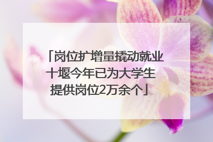 岗位扩增量撬动就业 十堰今年已为大学生提供岗位2万余个