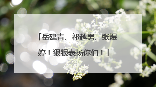 岳建青、祁越男、张煜婷！狠狠表扬你们！