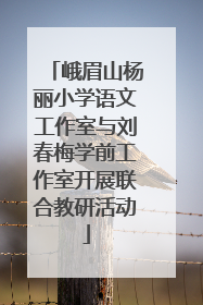 峨眉山杨丽小学语文工作室与刘春梅学前工作室开展联合教研活动