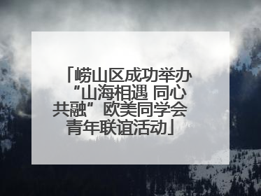 崂山区成功举办“山海相遇 同心共融”欧美同学会青年联谊活动