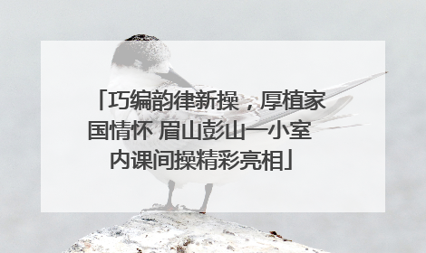 巧编韵律新操，厚植家国情怀 眉山彭山一小室内课间操精彩亮相