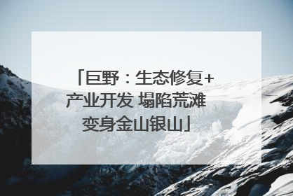 巨野：生态修复+产业开发 塌陷荒滩变身金山银山