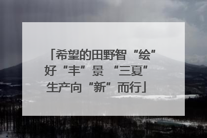 希望的田野智“绘”好“丰”景 “三夏”生产向“新”而行